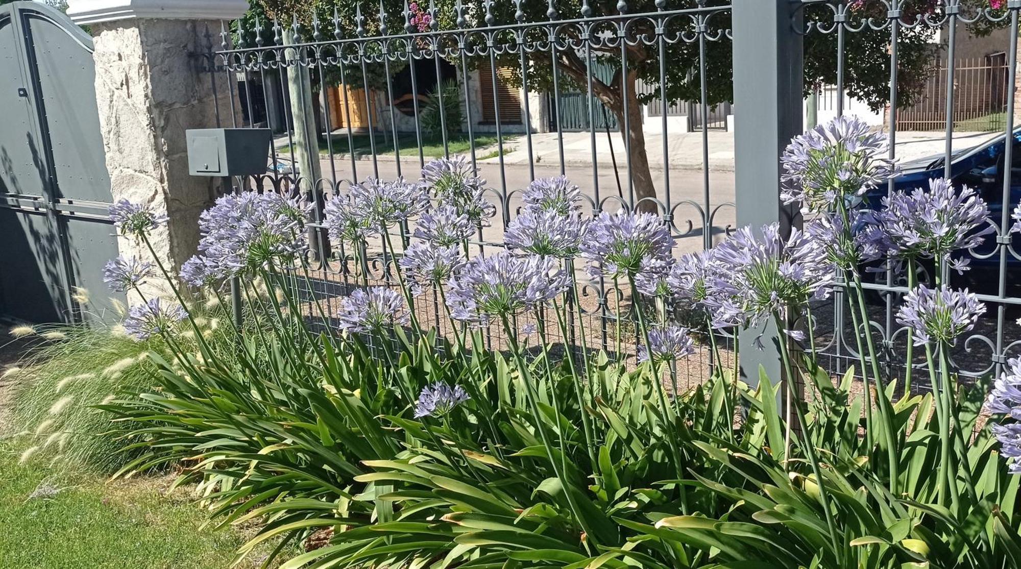 Oasis Cochera Opcional Bahía Blanca Cameră foto